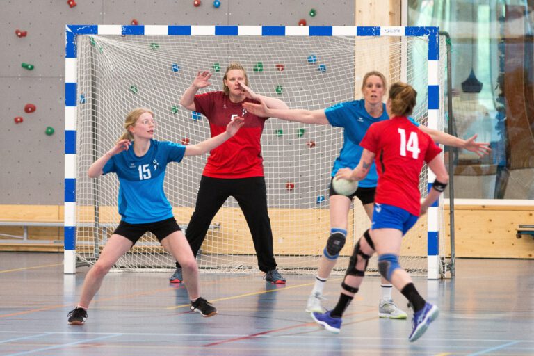 Dames 1 HVB Handbalvereniging Bommelerwaard wedstrijd 3