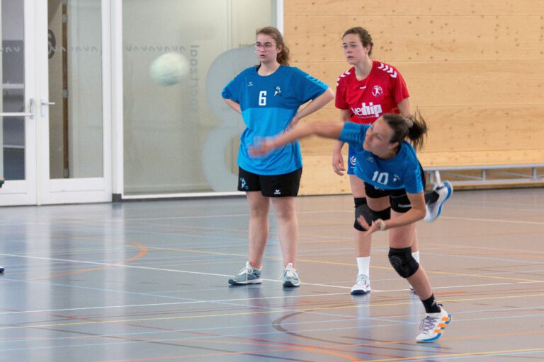 Dames 1 HVB Handbalvereniging Bommelerwaard wedstrijd 6